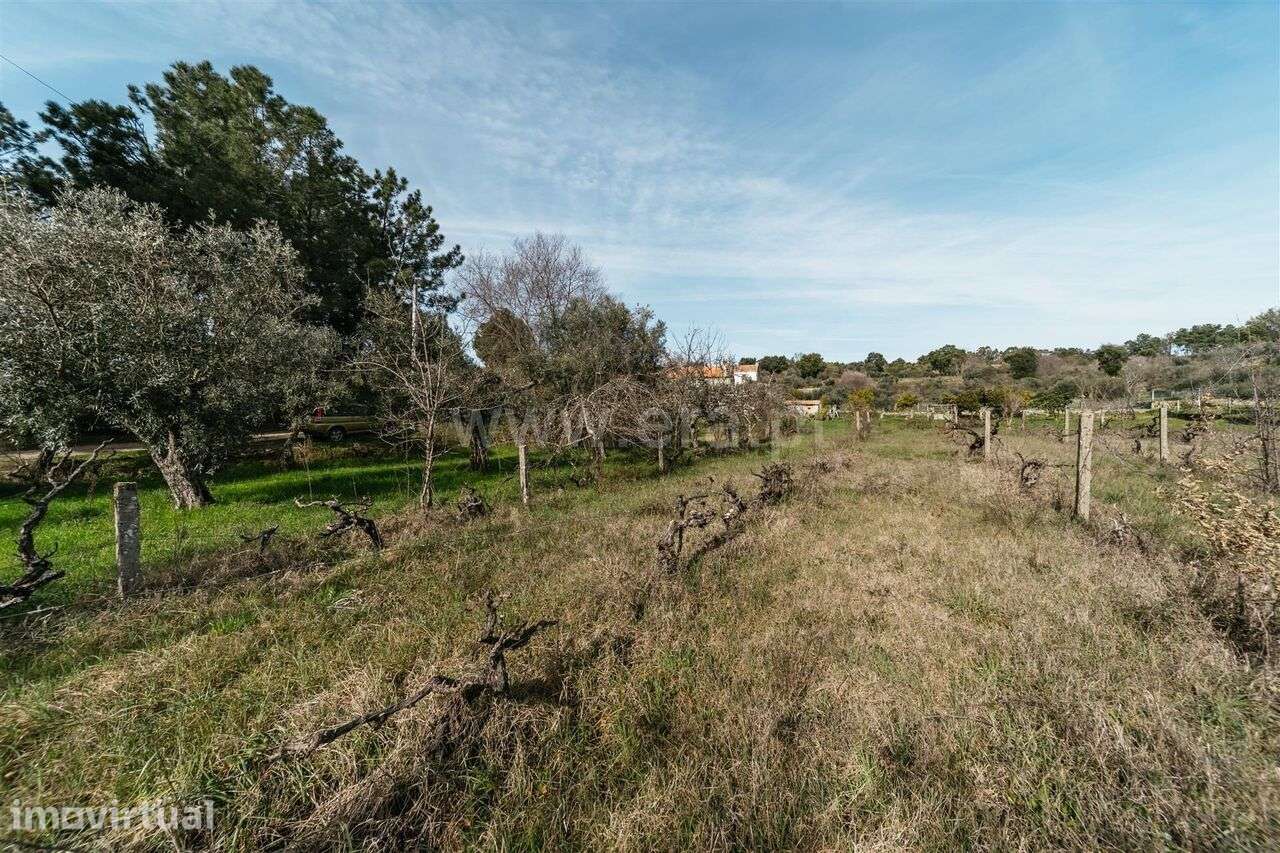 Quintinha / Fundão, Póvoa da Atalaia - Grande imagem: 5/20