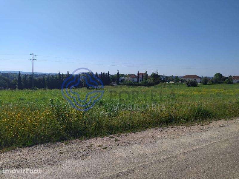Terreno com 13.700m2 a 5 minutos da cidade de Tomar - Grande imagem: 4/19