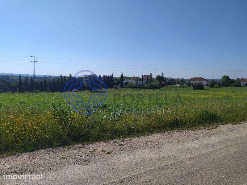 Terreno com 13.700m2 a 5 minutos da cidade de Tomar - Grande imagem: 4/19