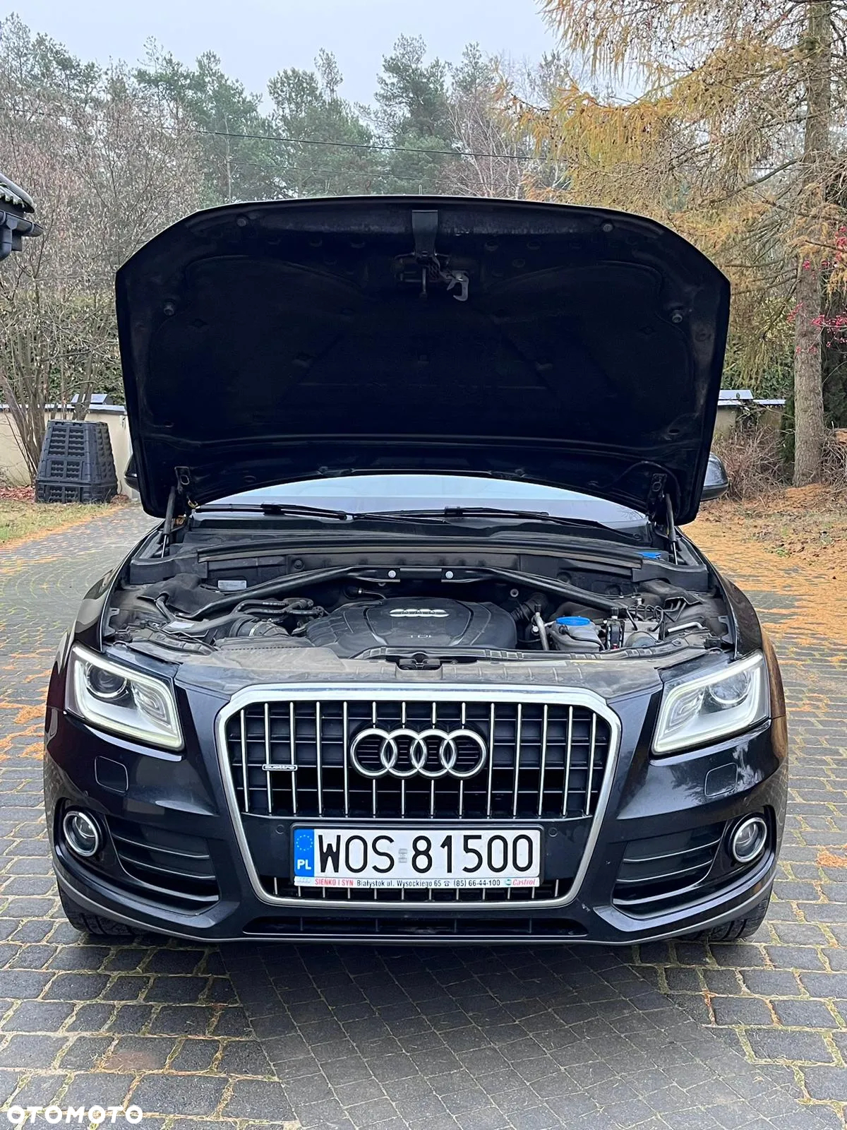 Audi Q5 2.0 TDI clean diesel Quattro S tronic - 5