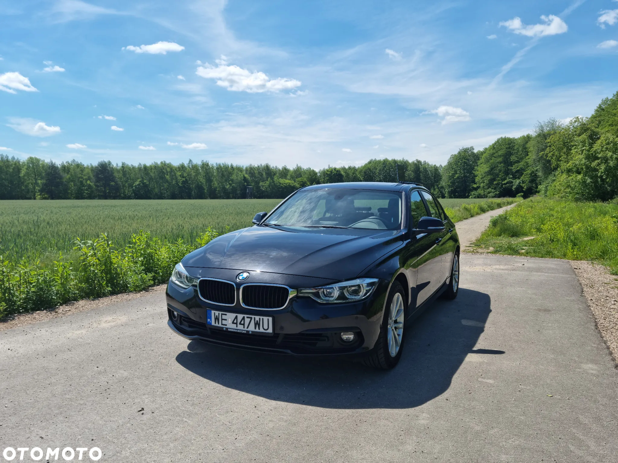 BMW Seria 3 330i Advantage - 2