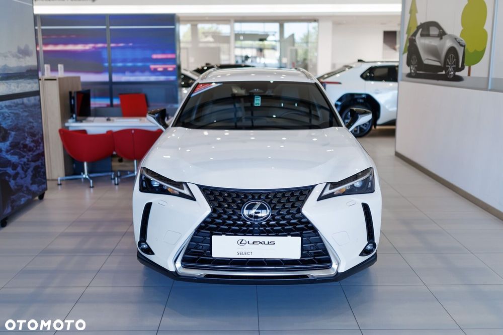 Lexus UX 300h Business - 2