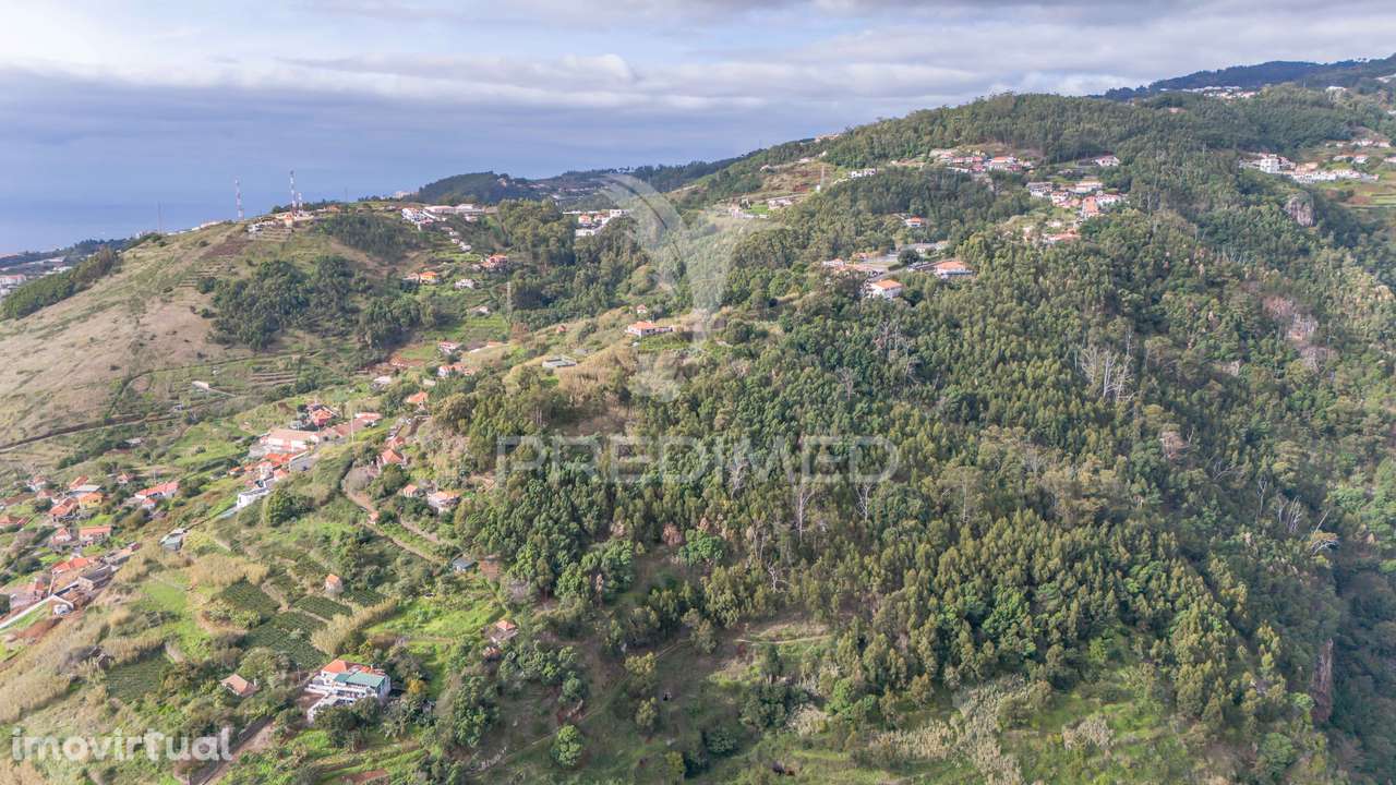 Terreno com ruina no Caniço Ilha da Madeira - Grande imagem: 3/6