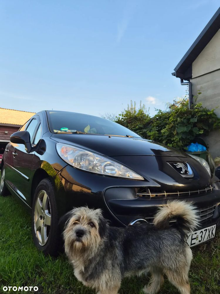 Peugeot 207 - 1