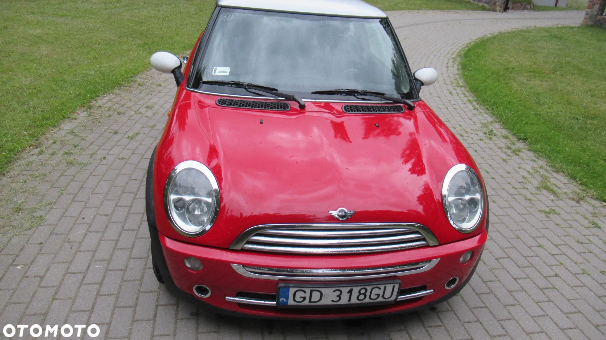 MINI Cooper chili - 5
