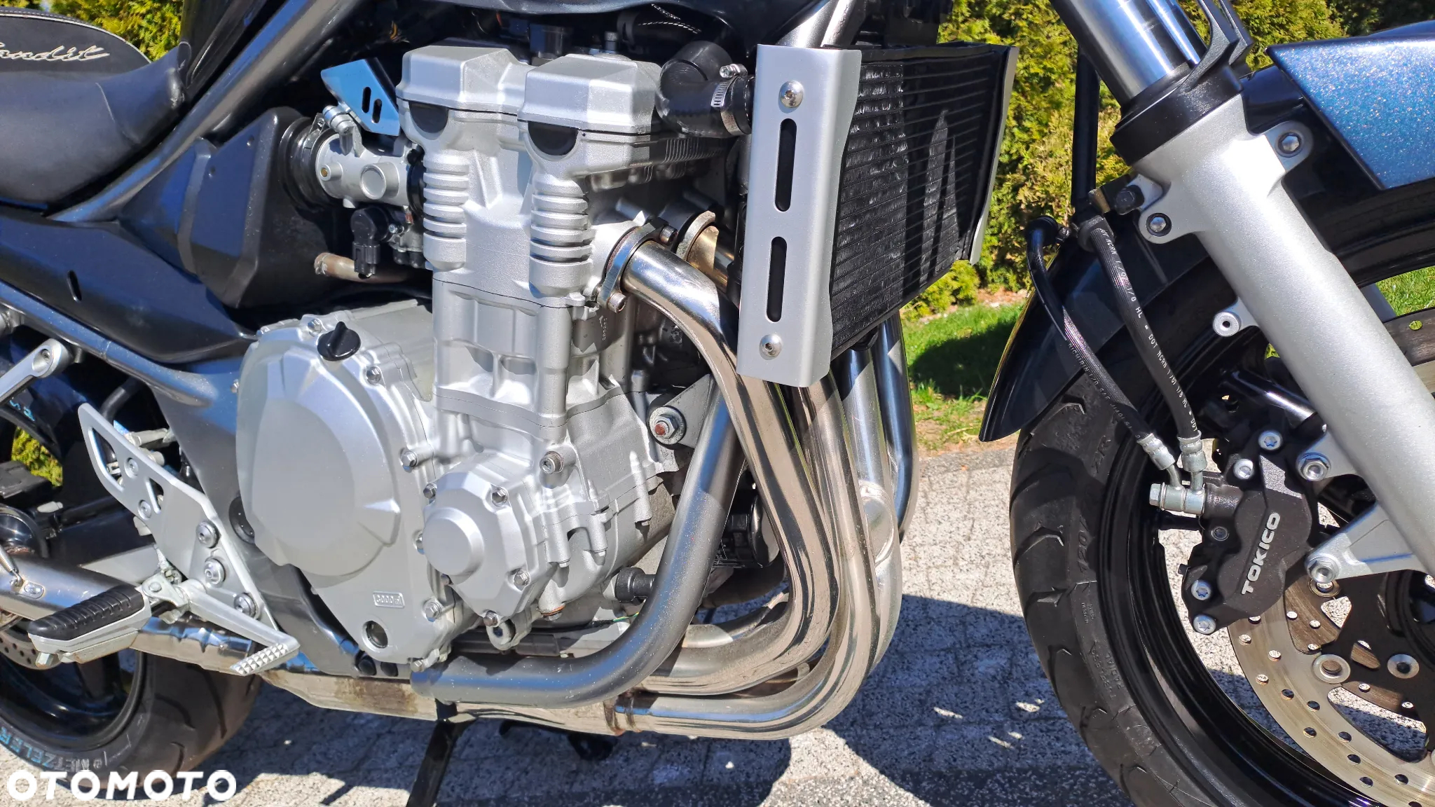 Suzuki Bandit - 13