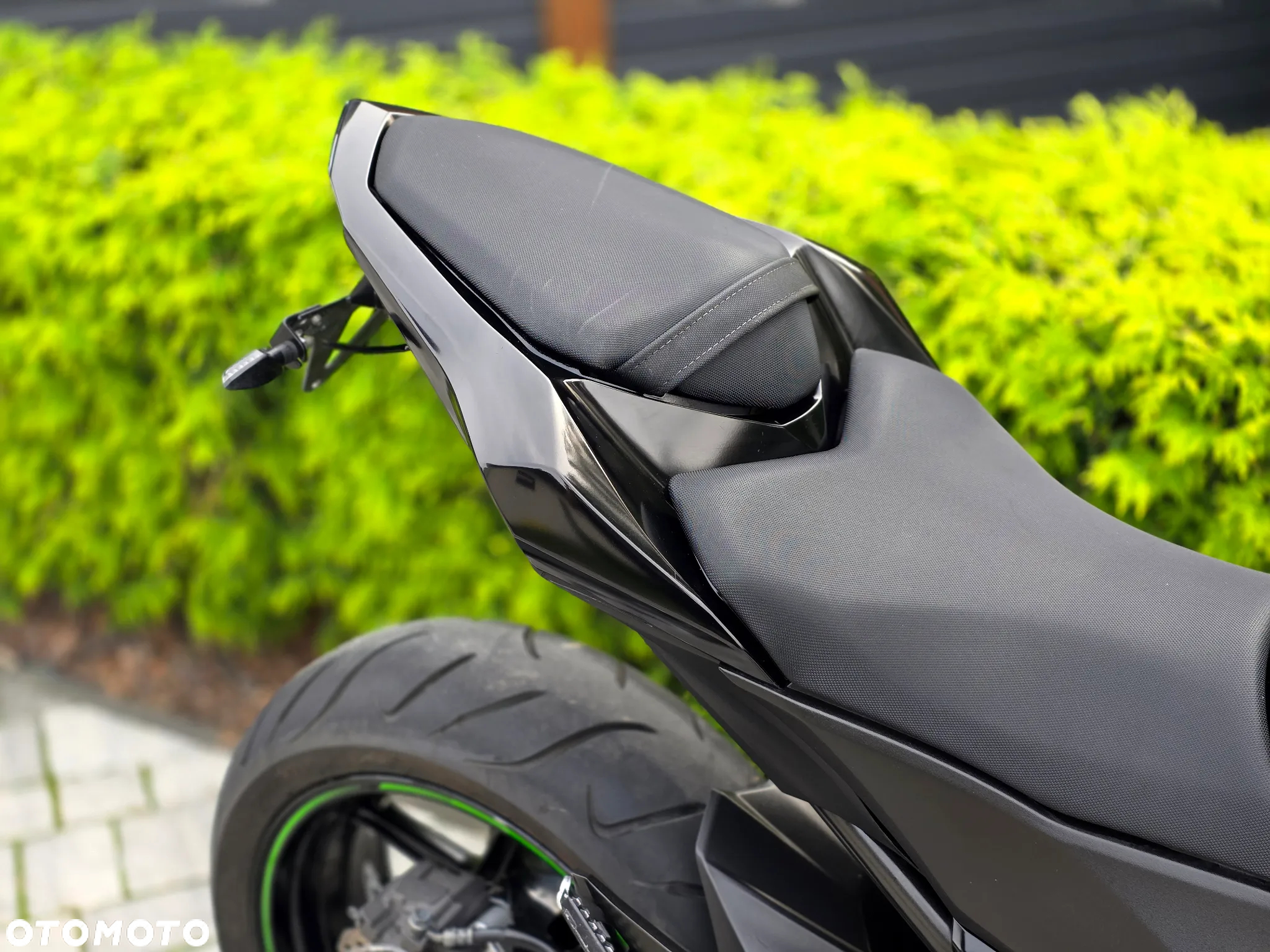 Kawasaki Z - 6
