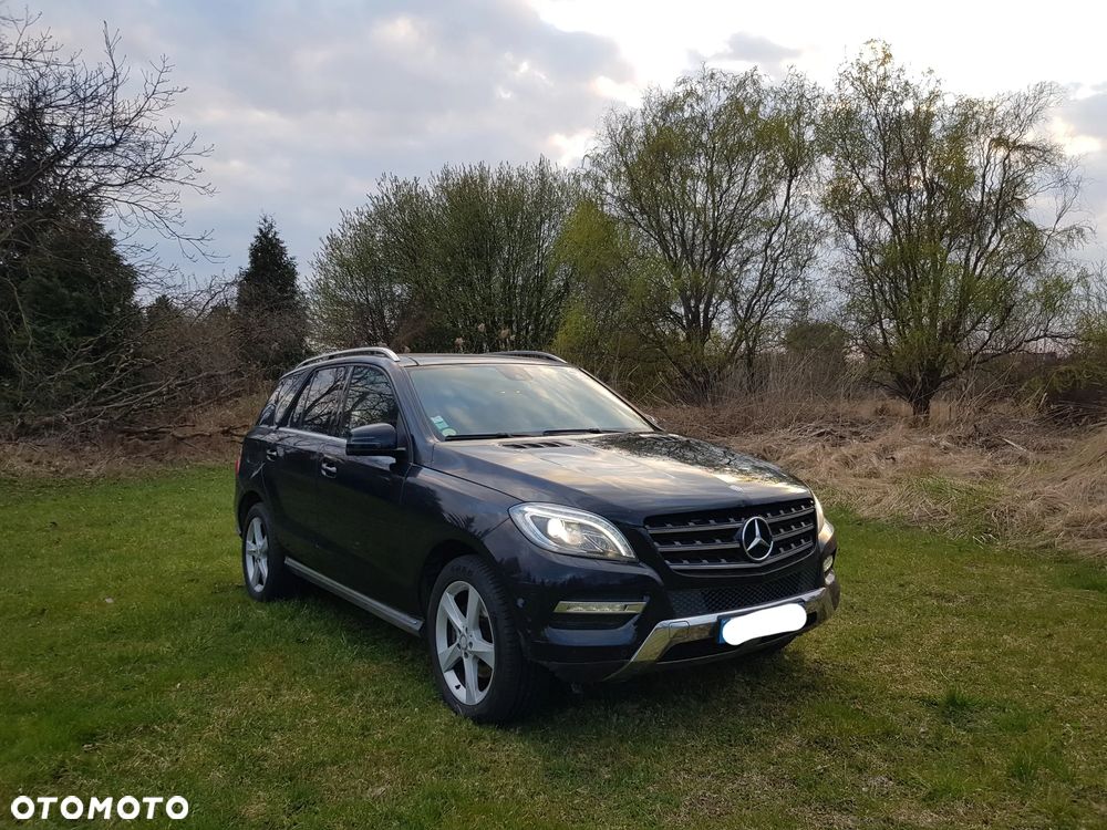 Mercedes-Benz ML 250 BlueTEC 4MATIC 7G-TRONIC - 1