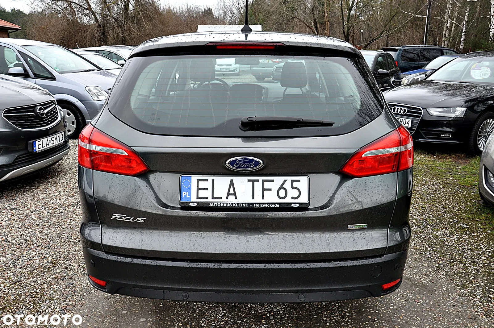 Ford Focus - 9