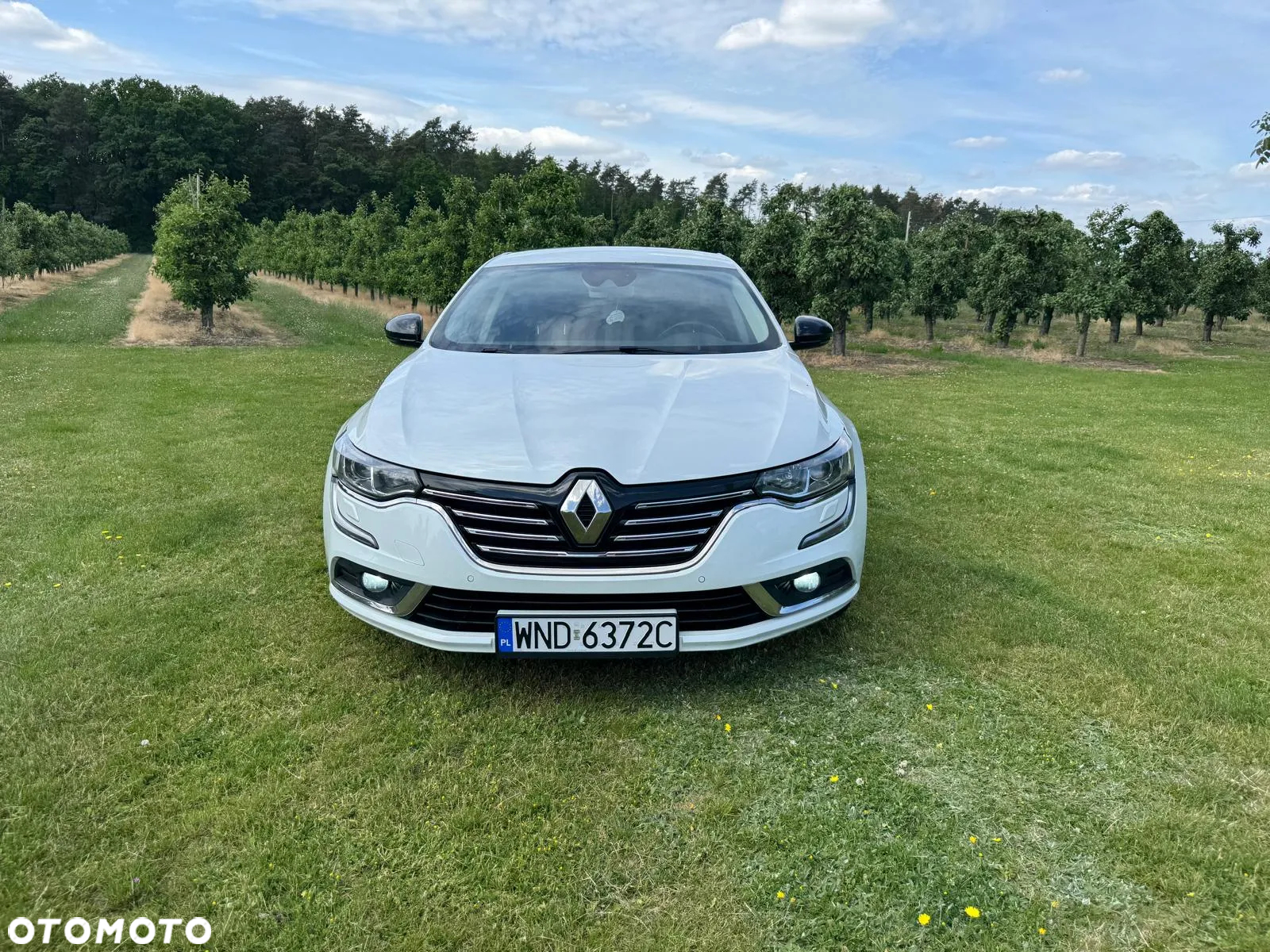 Renault Talisman ENERGY dCi 130 INTENS - 8
