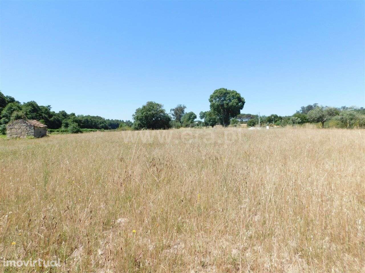Terreno com ruina / Seia, Pinhanços - Grande imagem: 4/8