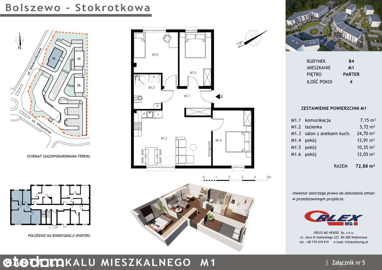 Bolszewo Stokrotkowa
