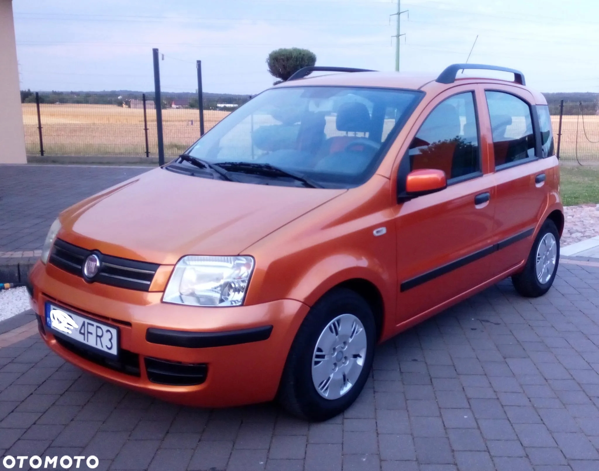 Fiat Panda - 2