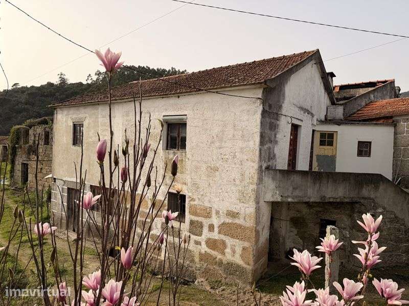 Moradia Rústica com Terreno e Vistas Rio Douro - Grande imagem: 3/12
