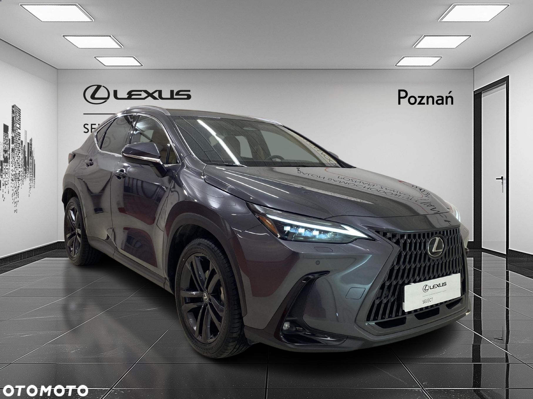 Lexus NX - 7