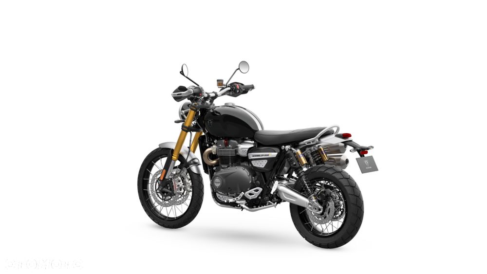 Triumph Scrambler - 24