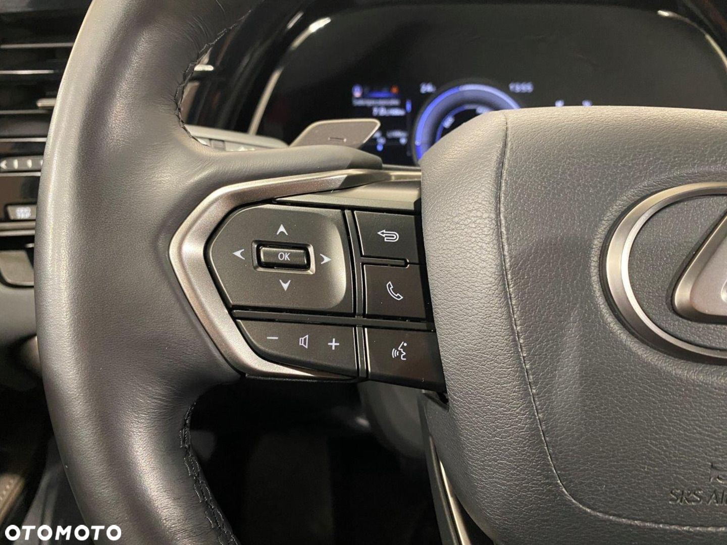 Lexus RX - 13
