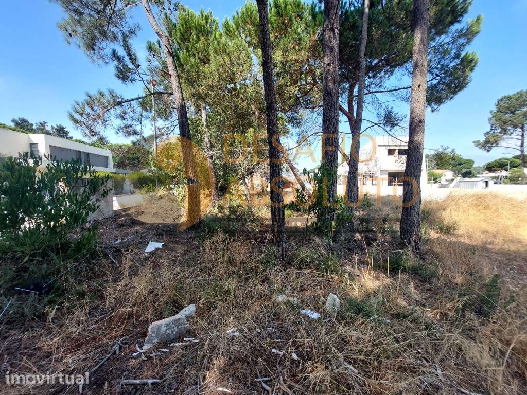 Terreno Rústico - Lagoa de Albufeira, Sesimbra - Grande imagem: 3/7