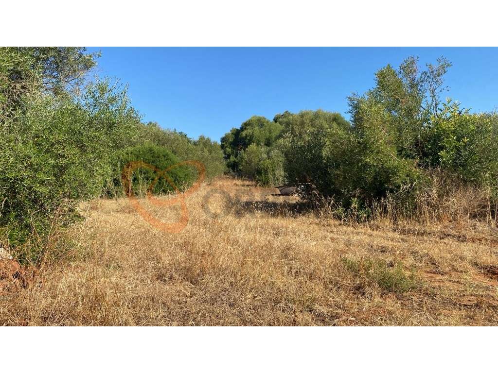 Terreno rústico para venda na Patã de Baixo, Albufeira - Grande imagem: 4/10