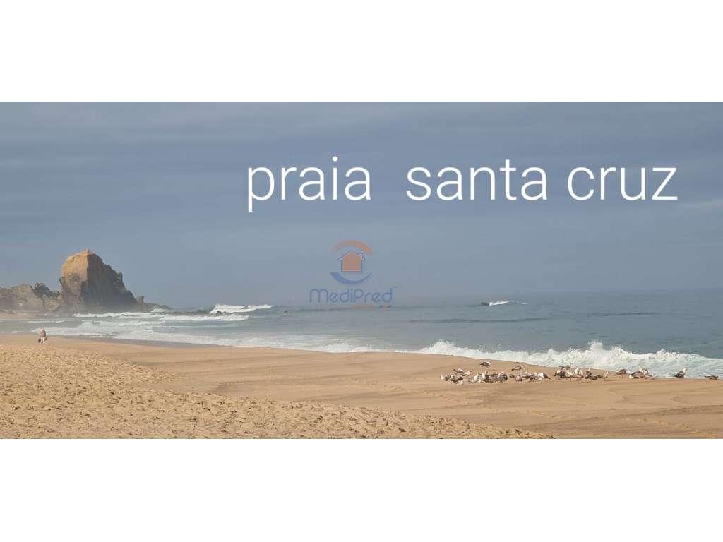 Terreno Agrícola 8.000 m2 | Santa Cruz, Torres Vedras - Grande imagem: 3/3