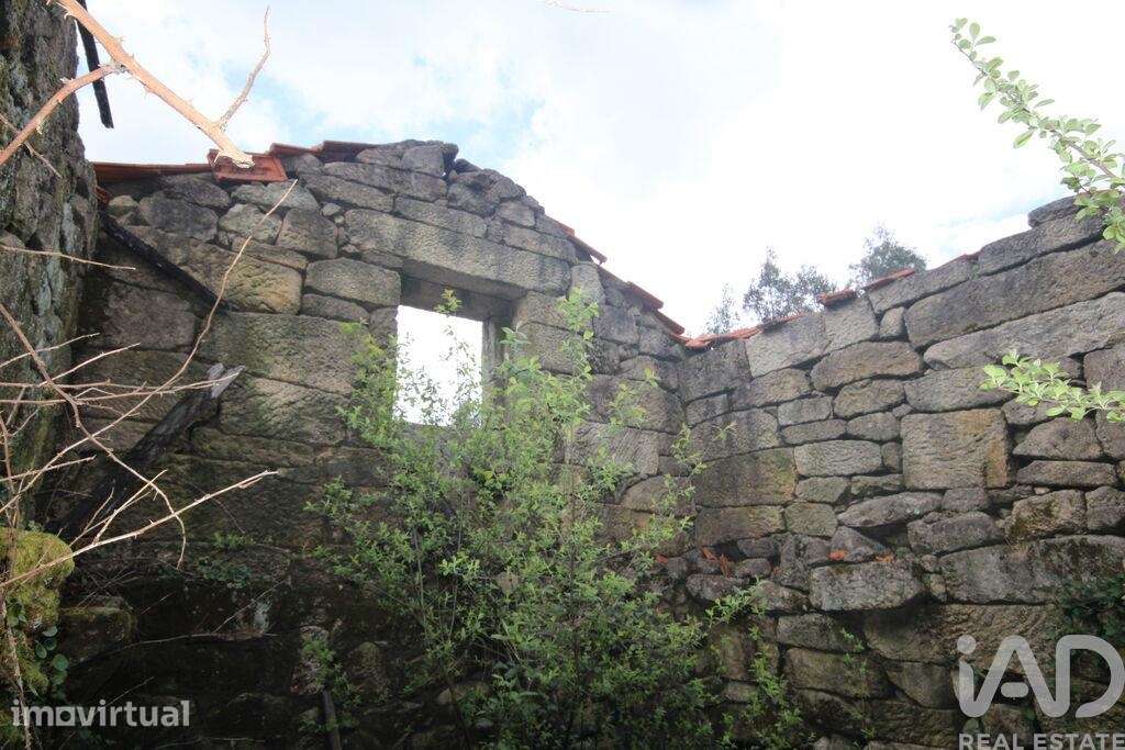 Casa rústica em Cambra e Carvalhal de Vermilhas de 3971 m2 - Grande imagem: 5/38