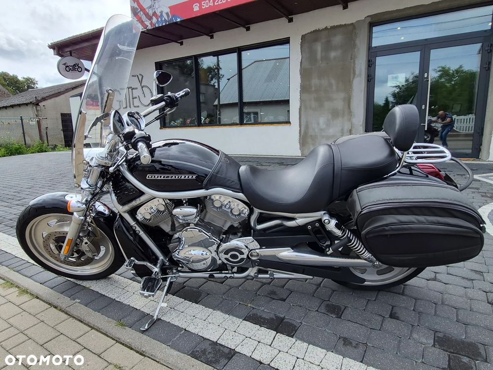 Harley-Davidson V-Rod Street Rod - 7