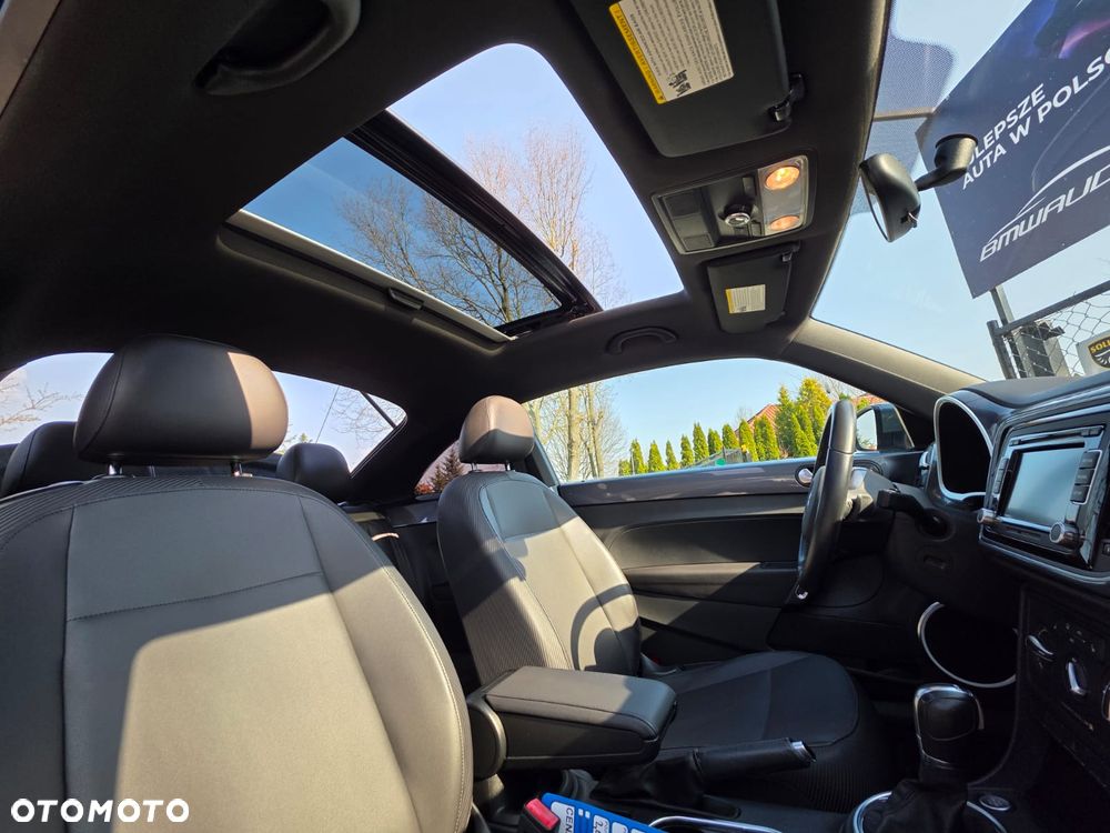 Volkswagen Beetle - 21