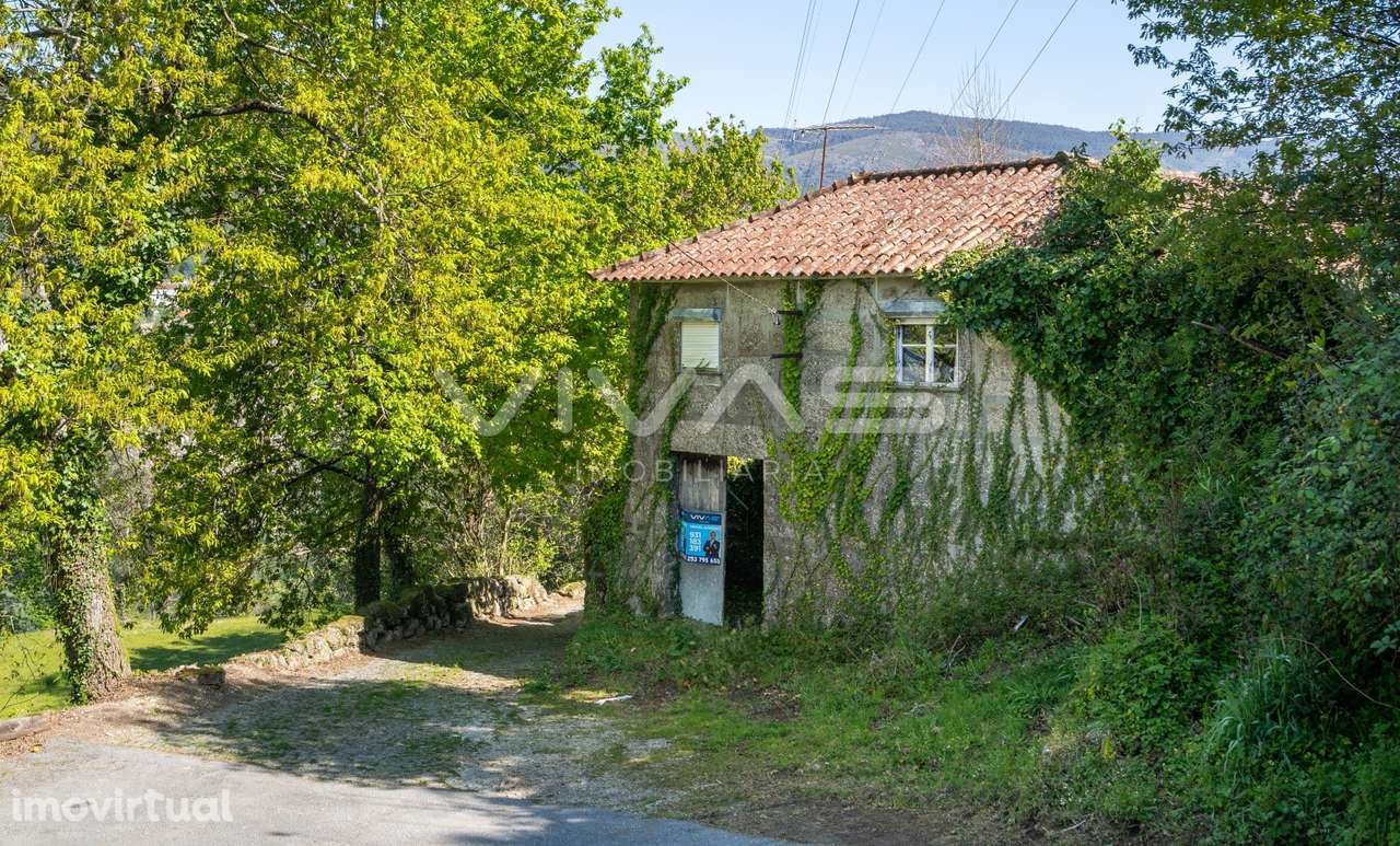 Quintinha  Venda em Parada do Bouro,Vieira do Minho - Grande imagem: 3/14