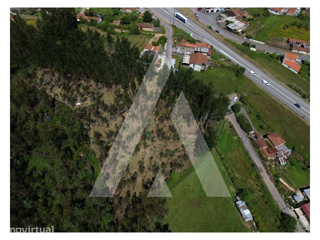 Terreno com 7.350 m² em Serém de Cima, Macinhata do Vouga, concelho... - Grande imagem: 5/12