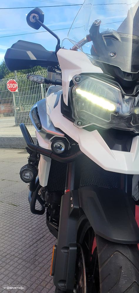 Triumph Tiger - 8