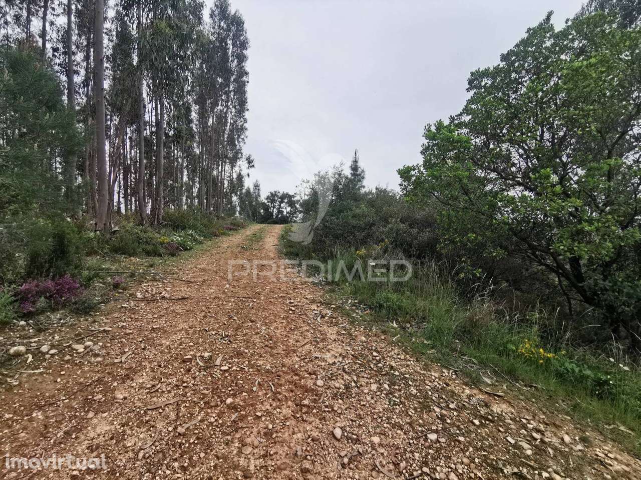 Terreno Rustico - Grande imagem: 3/30