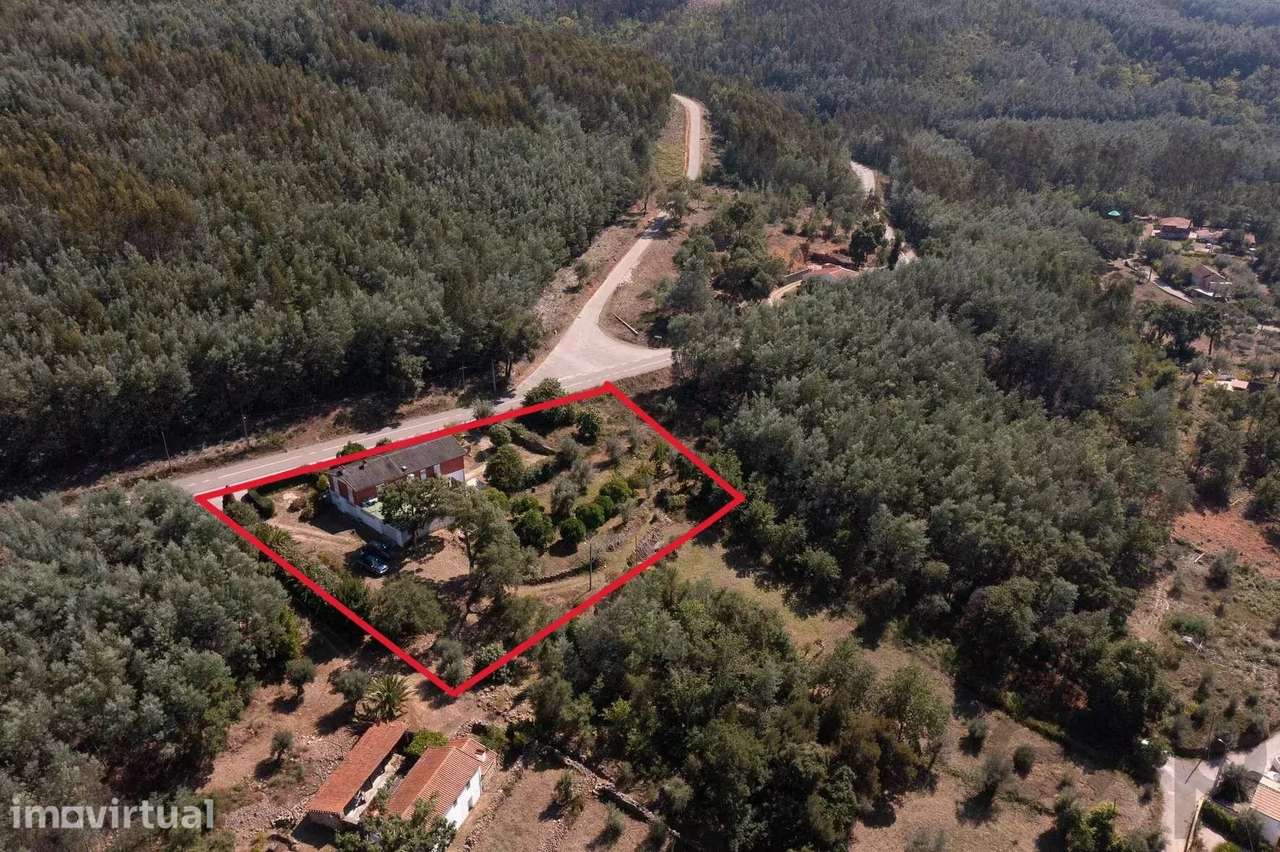 Moradia Térrea T4 com 3.257 m² de Terreno, Poço e Pomar – Serpins, Lou - Grande imagem: 3/48