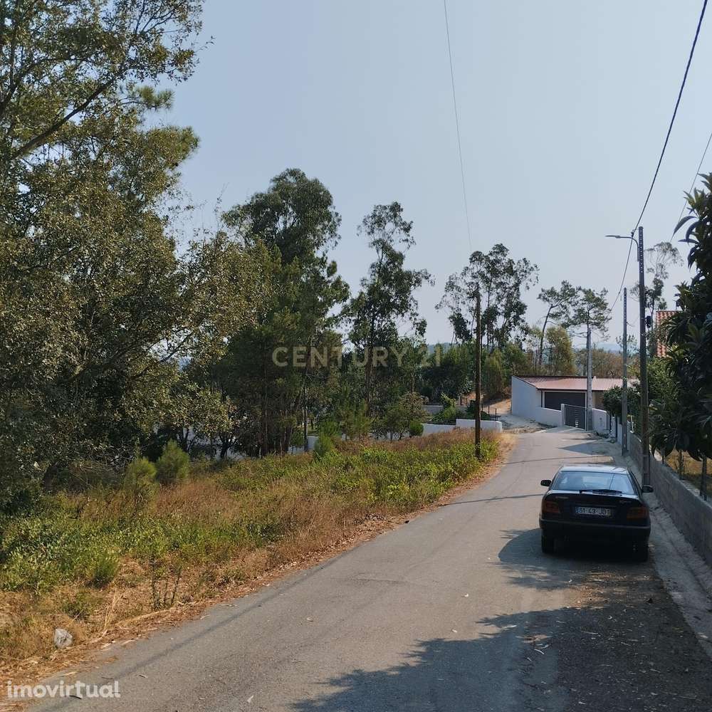 Terreno Agroflorestal || Sobral - Grande imagem: 3/13