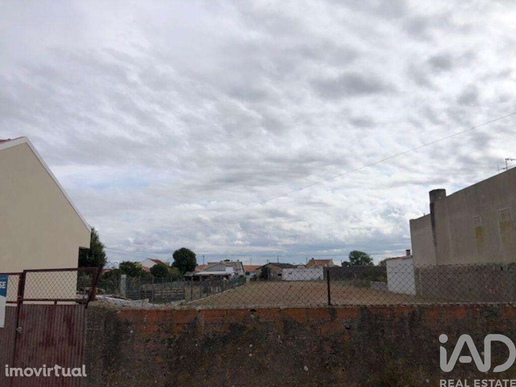 Terreno para construção em Monte Real e Carvide de 2160,00 m2 - Grande imagem: 3/17