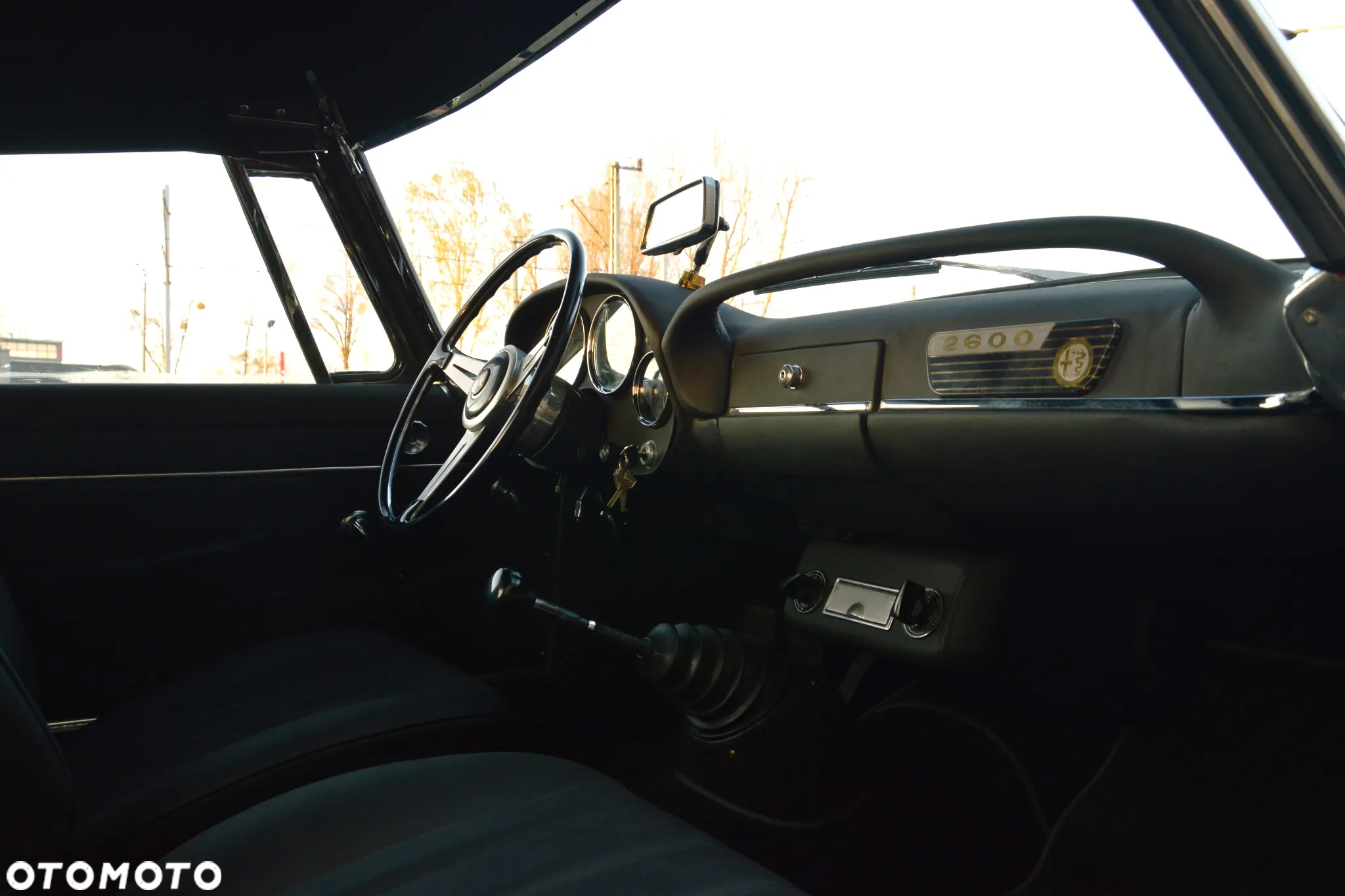 Alfa Romeo Inny - 23