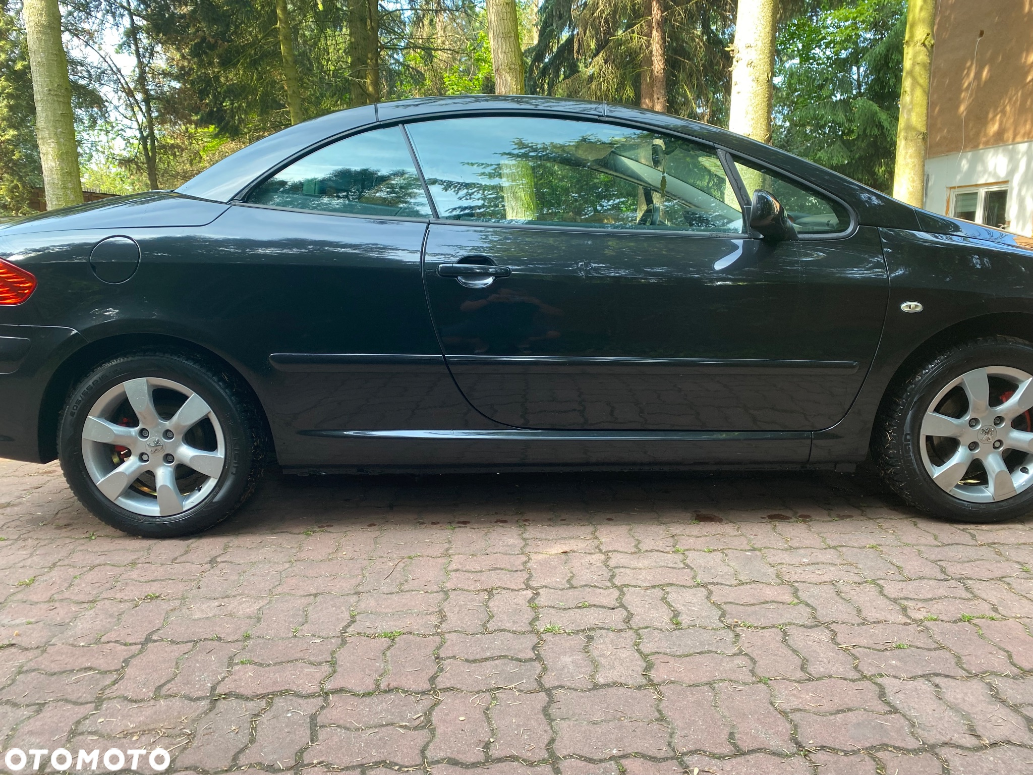 Peugeot 307 CC 2.0 Intense - 12