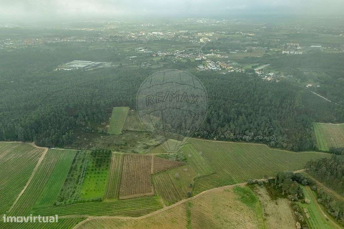 Terreno  para venda - Grande imagem: 2/16
