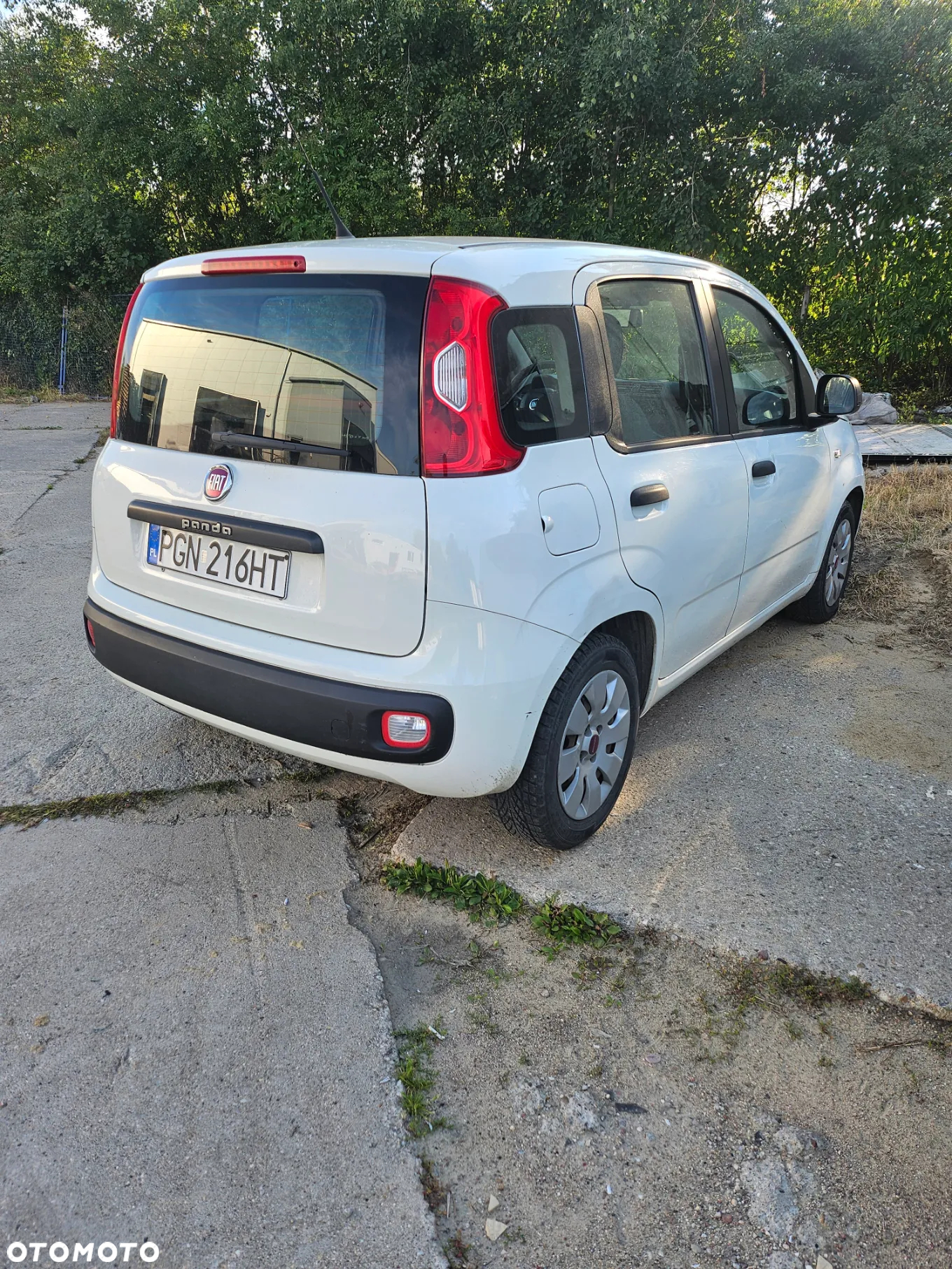 Fiat Panda 1.2 - 3
