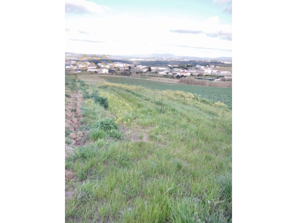 Terreno em Santa Bárbara, Lourinhã - Oportunidade Única! - Grande imagem: 3/4
