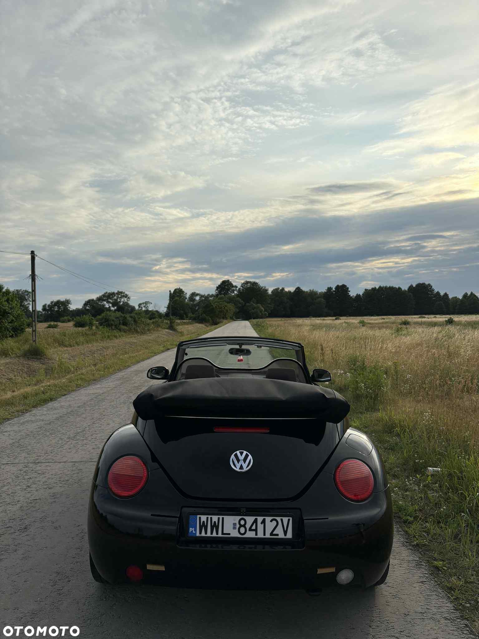 Volkswagen New Beetle Cabriolet 1.6 - 4