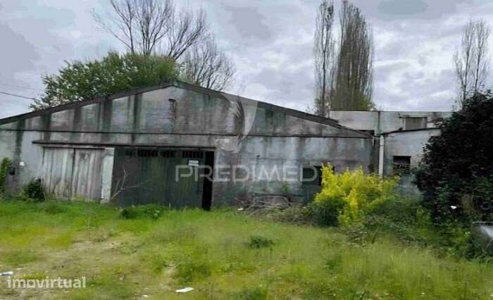 Quinta dos Moinhos Novos com 5,5 Hectares | Póvoa de Lanhoso - Grande imagem: 2/2