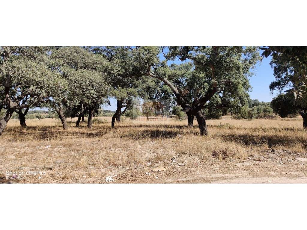 Lote com PROJECTO APROVADO para construção de moradia e piscina - Grande imagem: 4/9