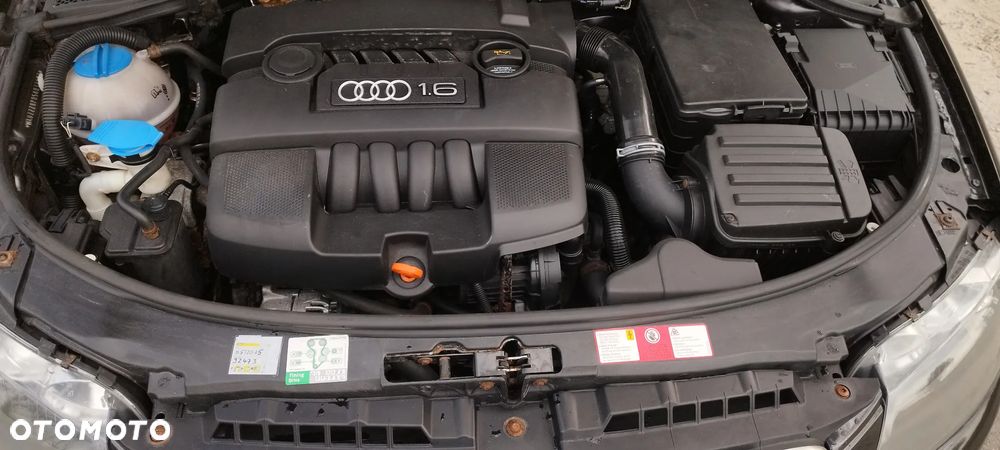 Audi A3 3-drzwiowe - 19