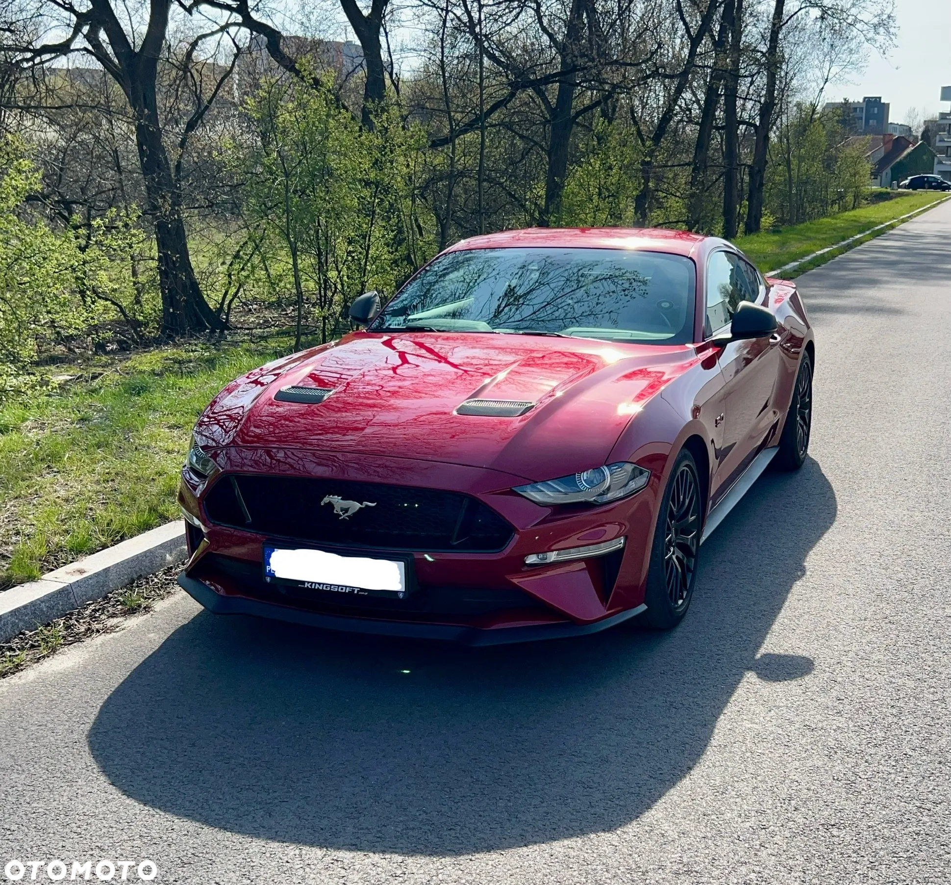 Ford Mustang 5.0 V8 GT - 3