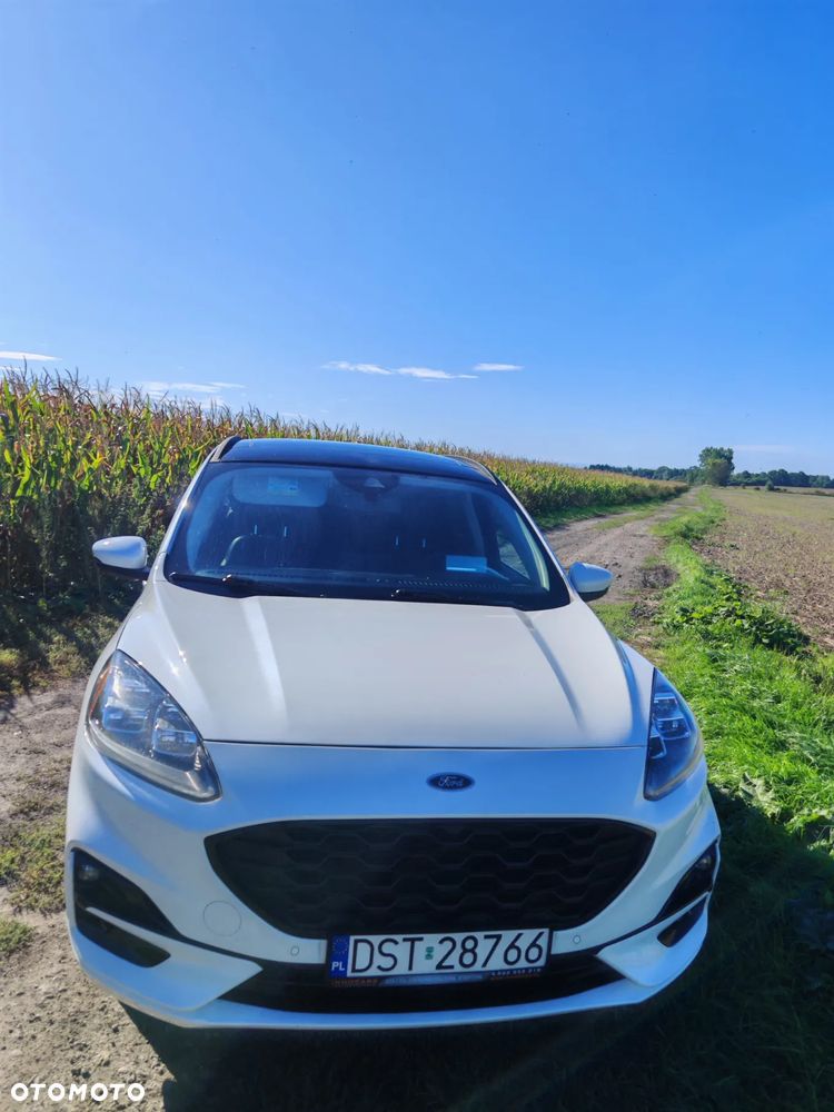 Ford Kuga 2.5 FHEV AWD Titanium X - 18