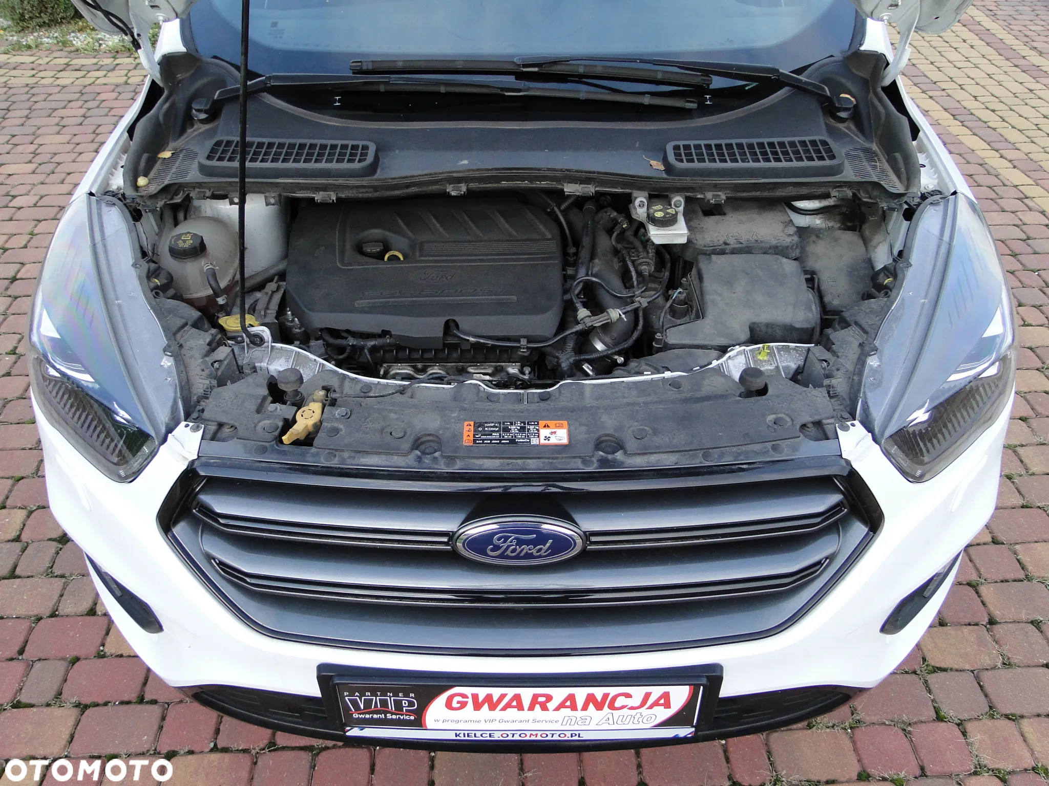 Ford Kuga 1.5 EcoBoost FWD ST-Line ASS - 24