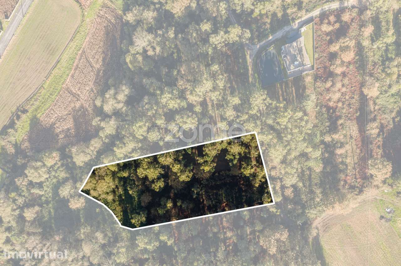 Terreno Rústico com 3966 m2 na Carvalhosa, Paços de Ferreira - Grande imagem: 4/17