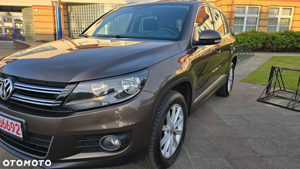 Volkswagen Tiguan - 21