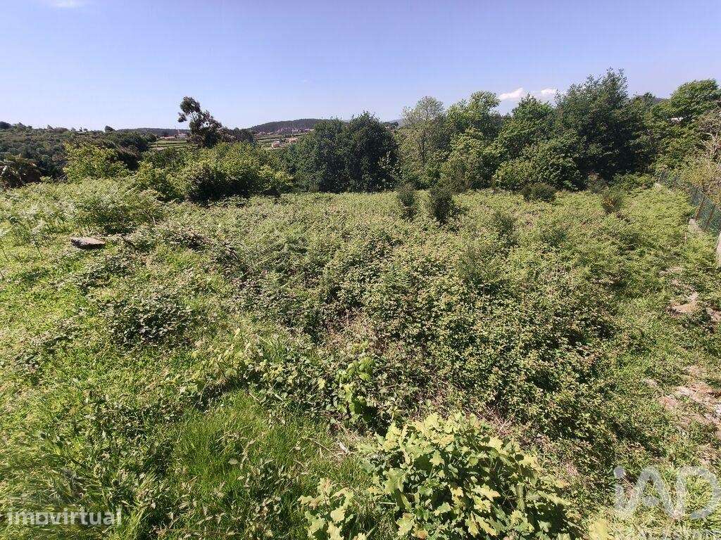Terreno Agrícola em Infesta - Grande imagem: 2/28