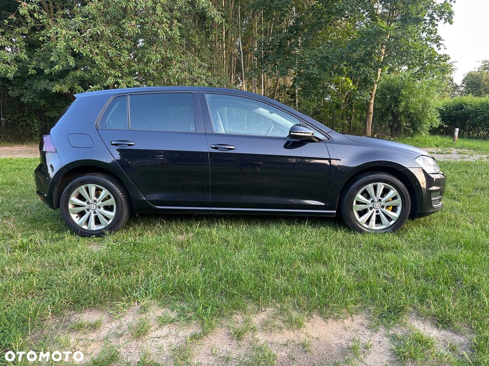 Volkswagen Golf - 19